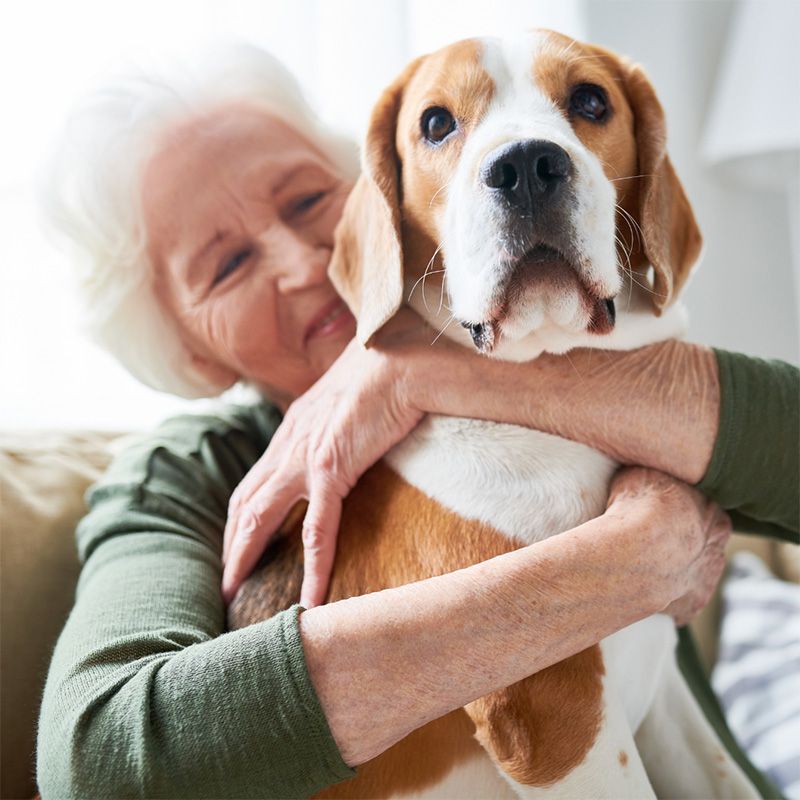 Pets and Mental Health